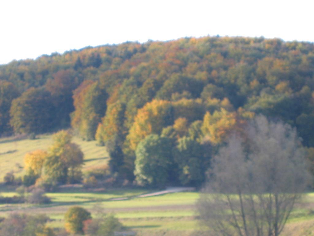 Gasthof Zum Lamm Gomadingen Εξωτερικό φωτογραφία